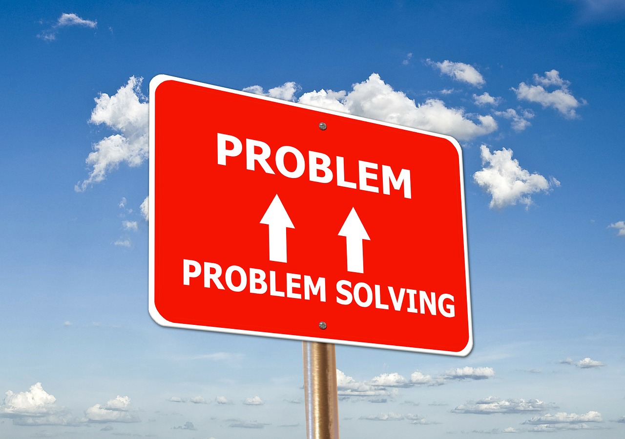 problem-solving image